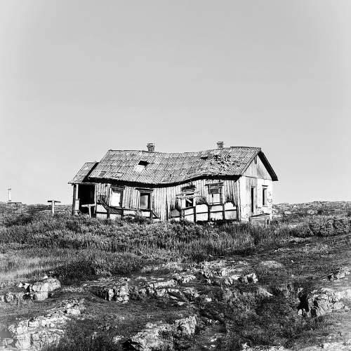 Фотография #11511040