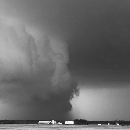Photo #11511328