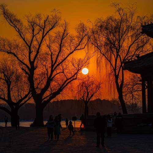 Photo #11511436