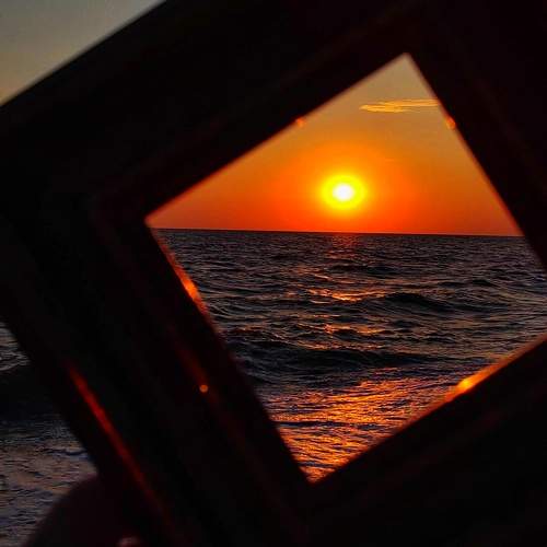Photo #11511582