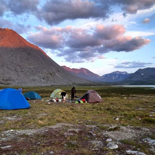 Photo #11511612