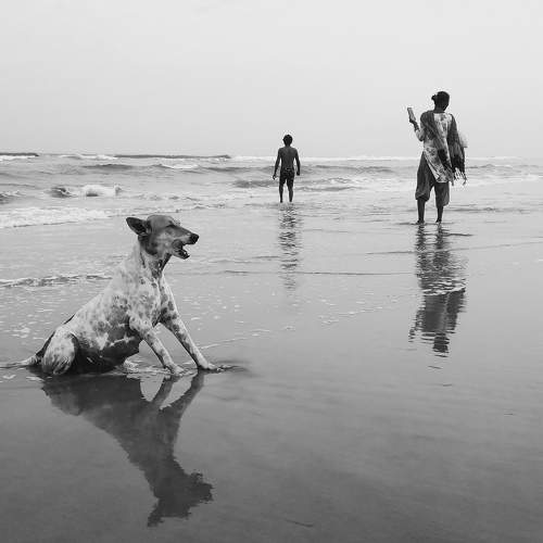 Beach Life