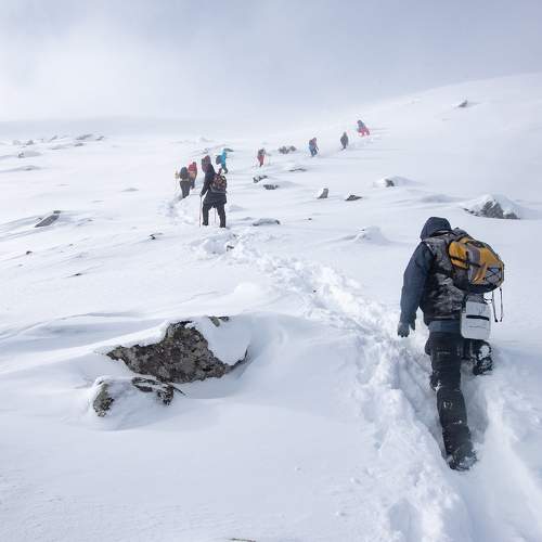 Photo #11511817
