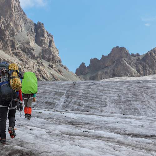 Photo #11511824