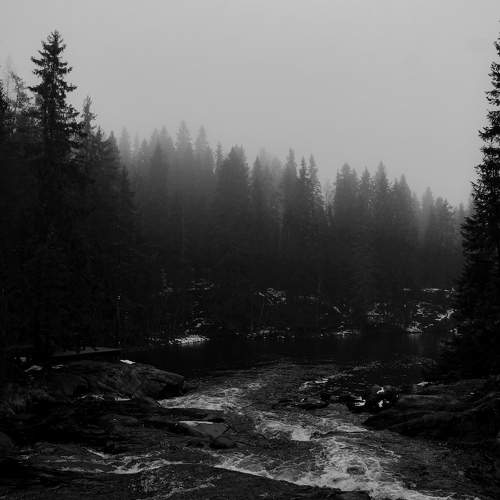 Photo #11511845