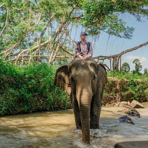 Elephant Mahout in Harmony with Nature