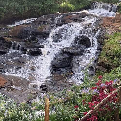 Photo #11512493