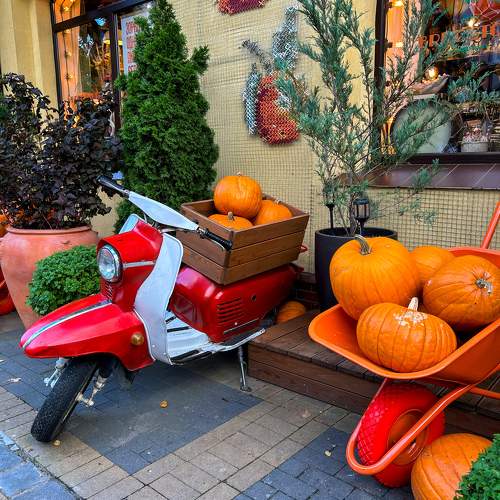 Photo #11512501