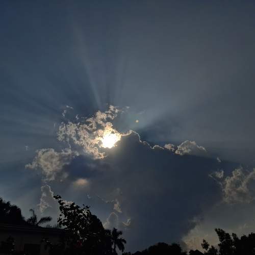 Photo #11512565