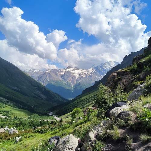 Photo #11512795