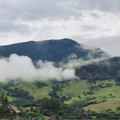 Photo #11513089