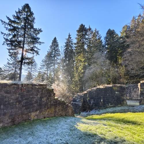 Photo #11513283