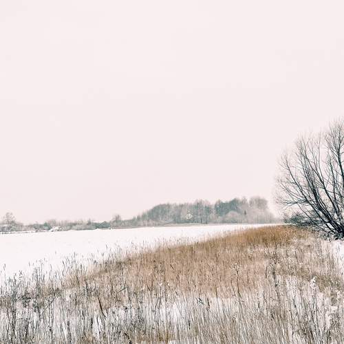 Photo #11513519