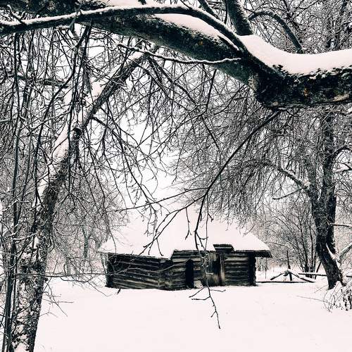 Photo #11513522