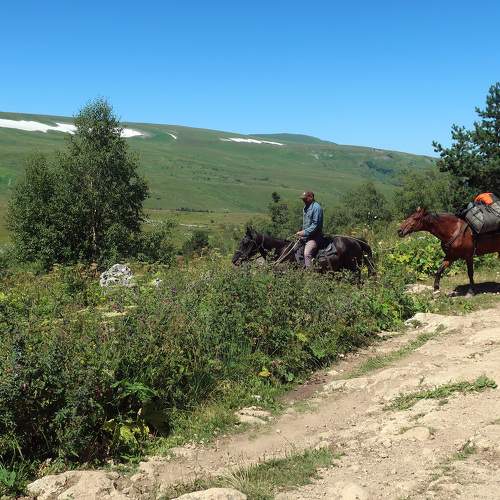 Photo #11513654