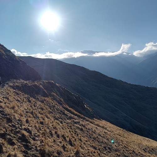 Photo #11513887