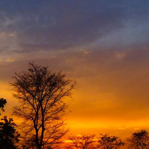 Orange colour