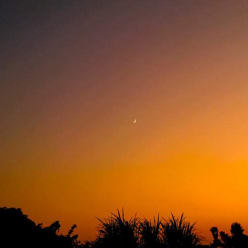 Photo #11513996