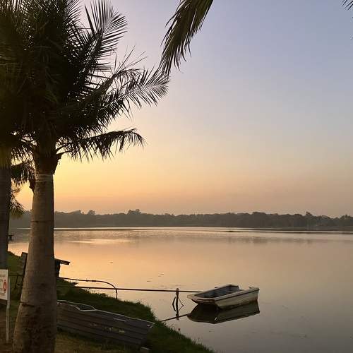 Photo #11514330