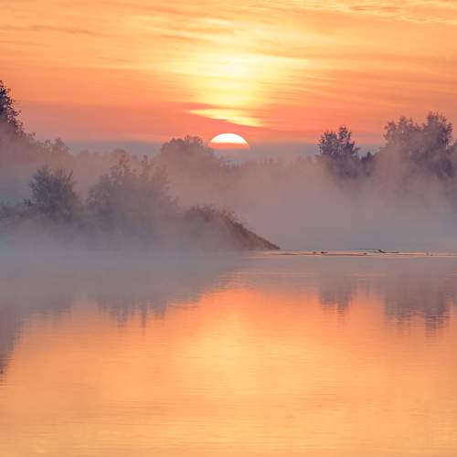 Photo #11514569