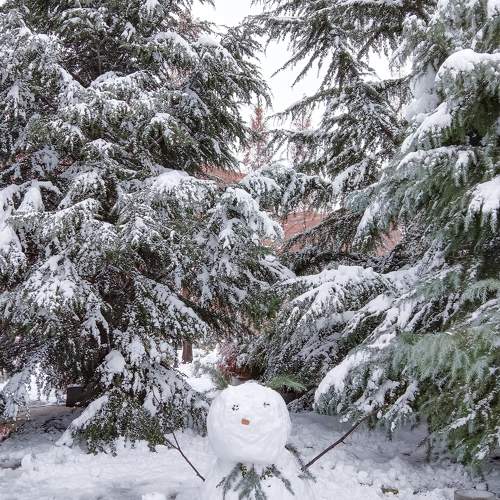 The Snow Man
