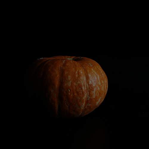 Photo #11514964