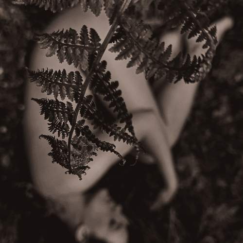 Photo #11515390