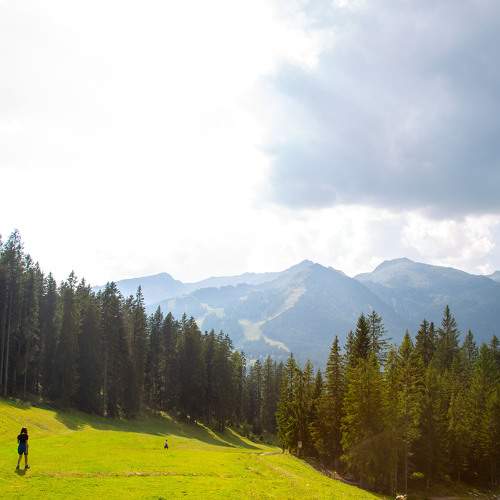 Photo #11515444