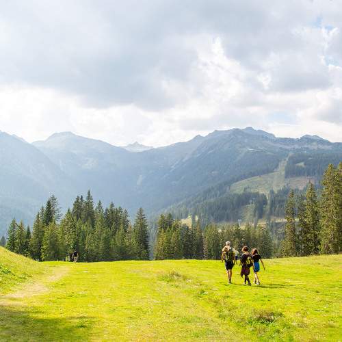 Photo #11515445