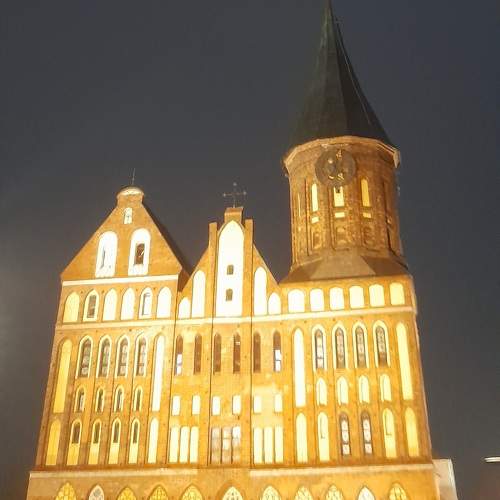 Photo #11515551