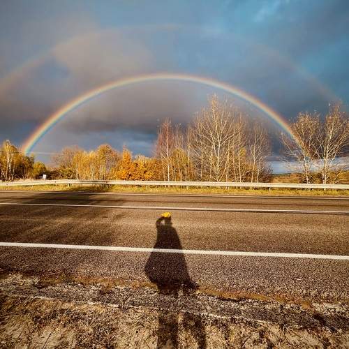 Photo #11515709