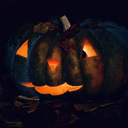 Photo #11515744