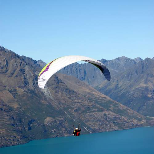 Photo #11515958
