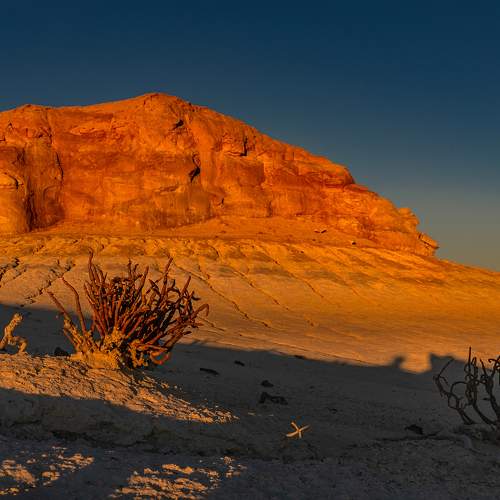 Photo #11515962