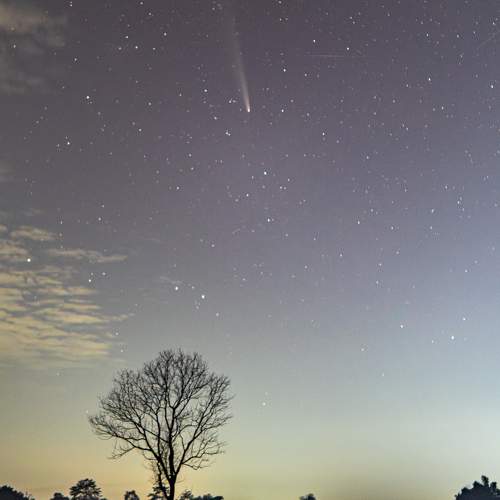 Photo #11516026