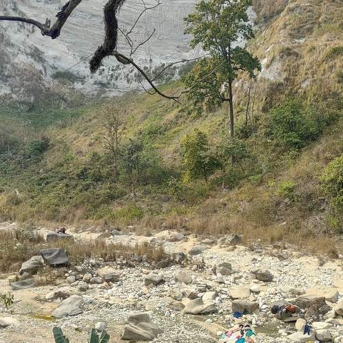 Photo #11516243