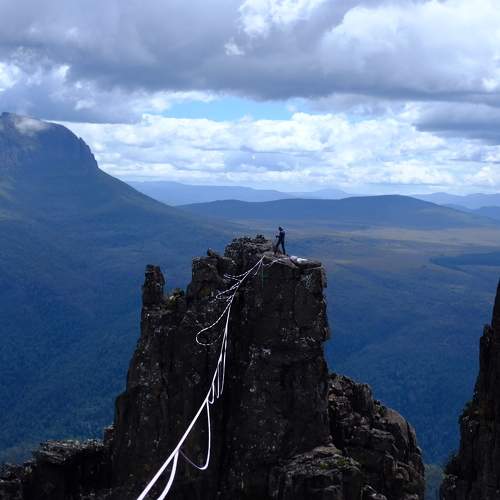 Photo #11516281