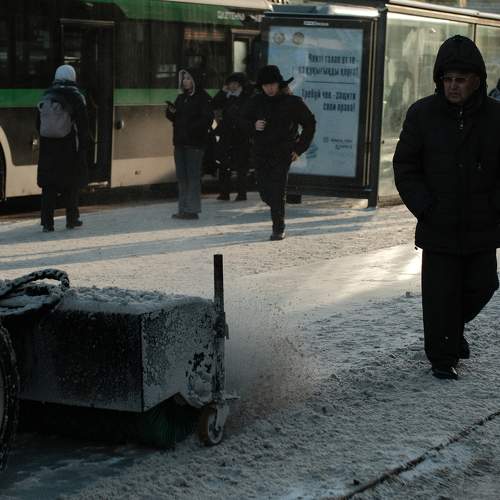 Photo #11516534