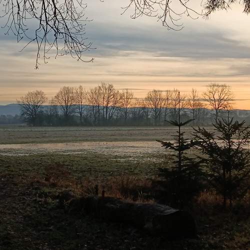 Photo #11516842