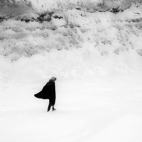 Photo #11517093