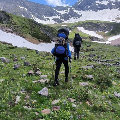 Photo #11517138