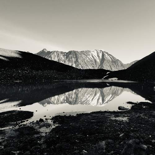 Photo #11517143