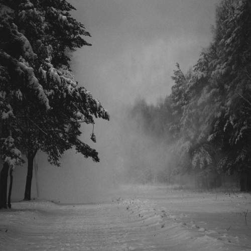 Photo #11517225