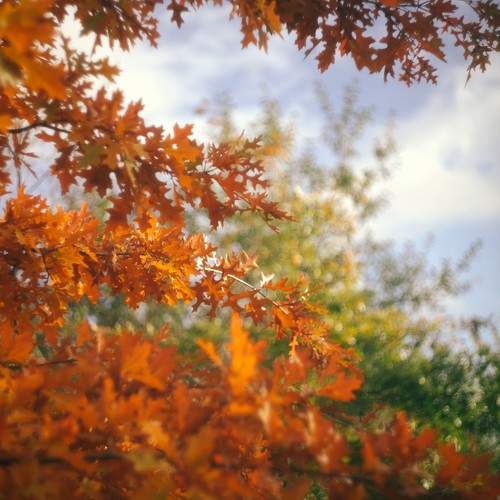 Photo #11517377
