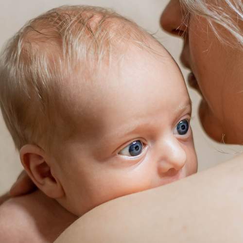 Photo #11517731