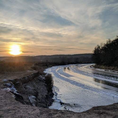 Photo #11517995