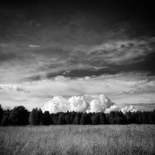 Photo #11518107