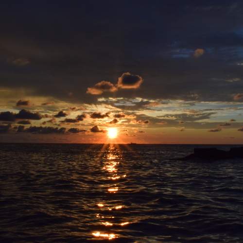 Fishing sunsets!