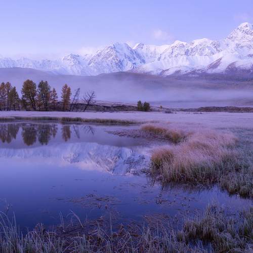 Photo #11518537