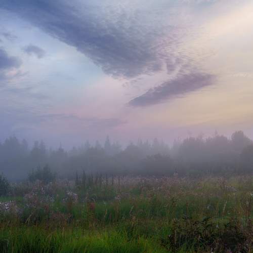 Photo #11518542